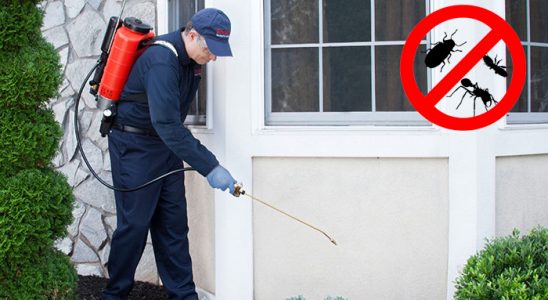 Tokat Böcek İlaçlama böcek ilaçlama ve haşere kontrolü — ilaclama-tr.com